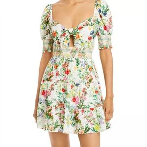 Alice & Olivia Kristie dress